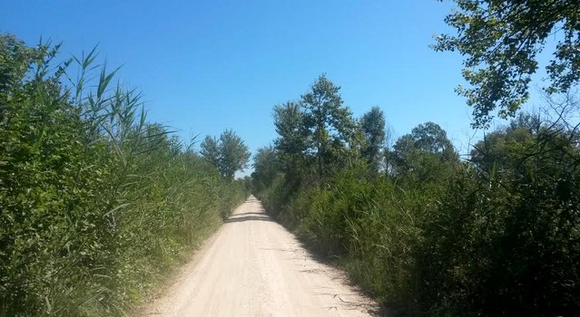 Fussweg