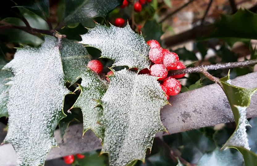 Winter
